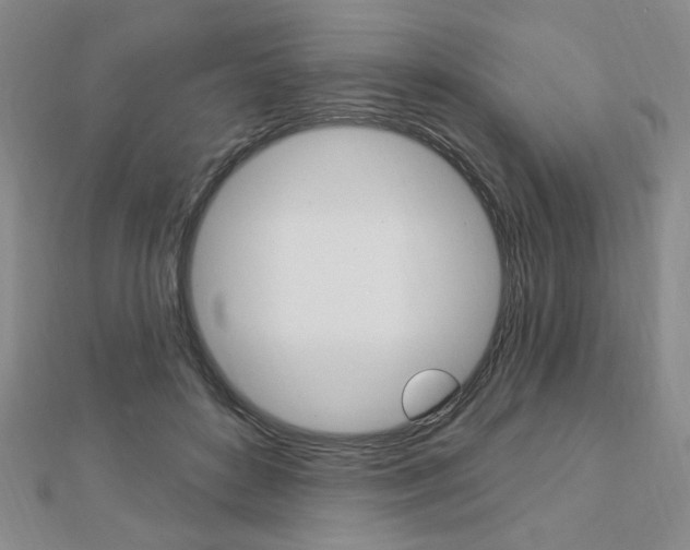 X0000112910504200908241011