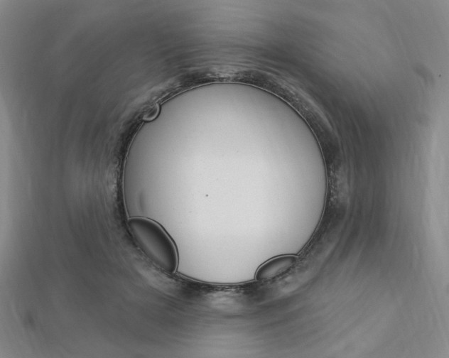 X0000112910505200908241011