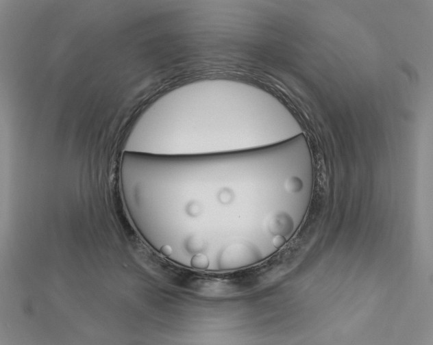 X0000112910507200908241011