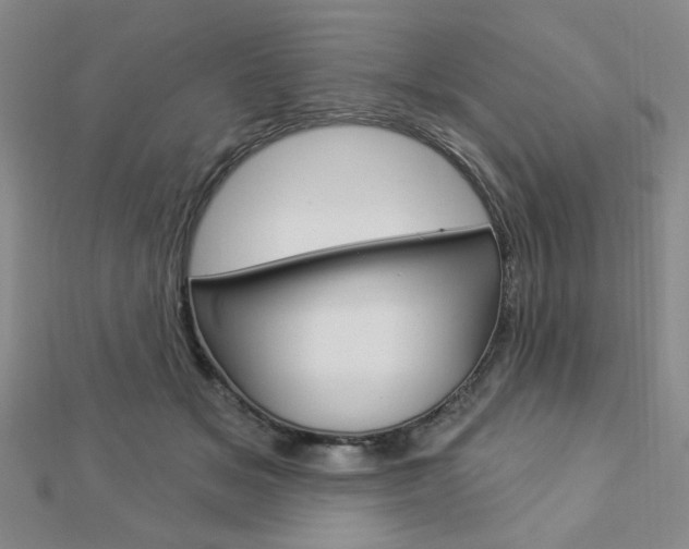X0000112910509200908241011