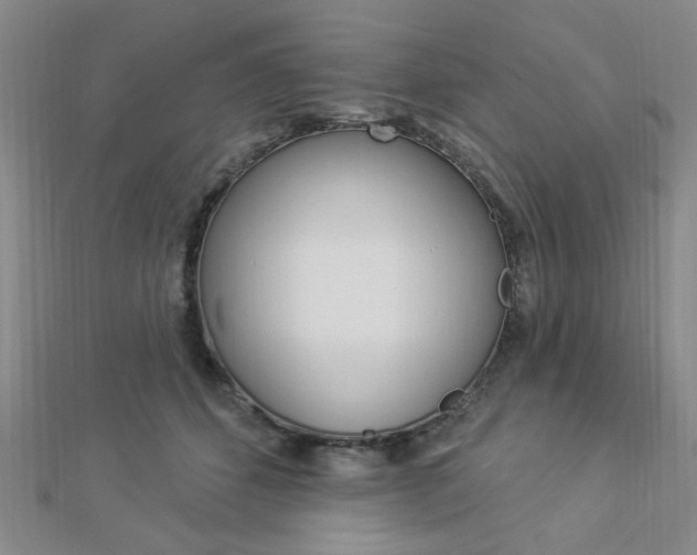 X0000112910512200908241011
