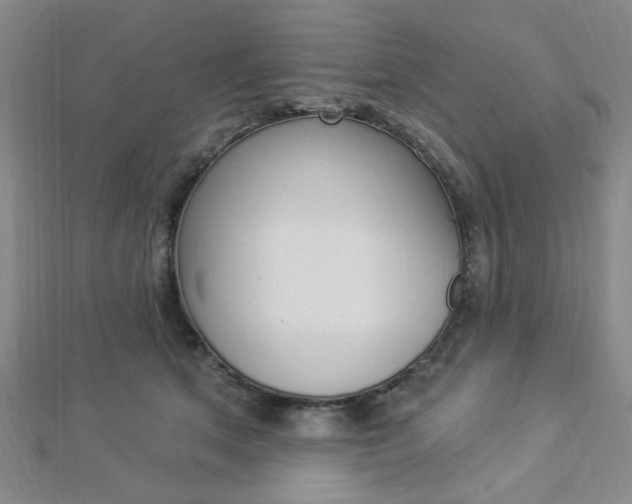 X0000112910513200908241011