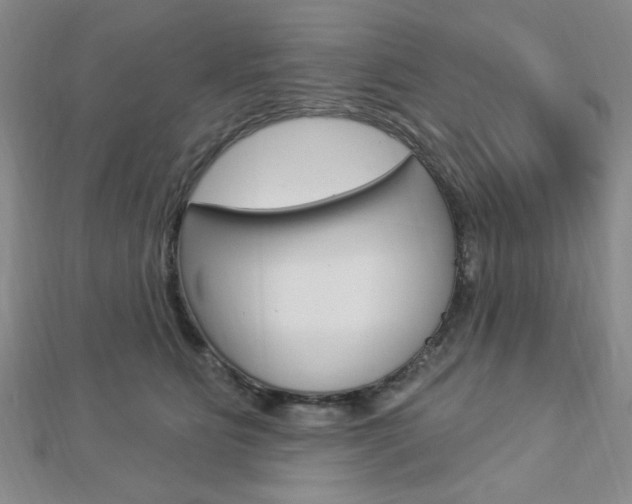 X0000112910515200908241011