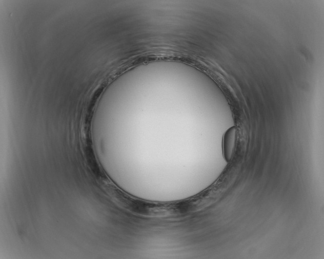 X0000112910516200908241011