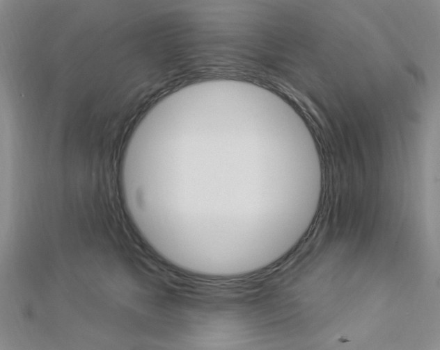 X0000112910517200908241011