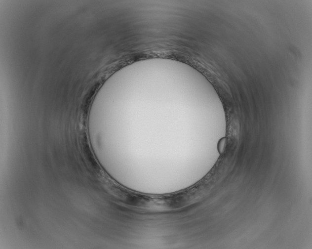 X0000112910518200908241011
