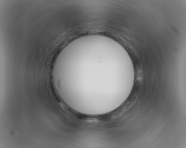 X0000112910519200908241011