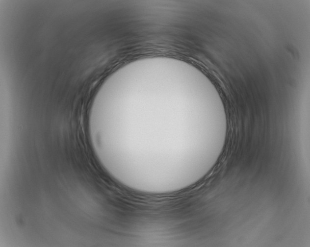 X0000112910520200908241011