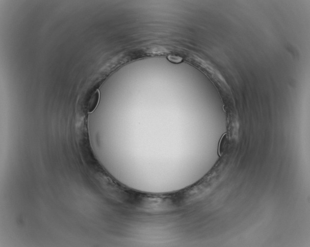 X0000112910521200908241011