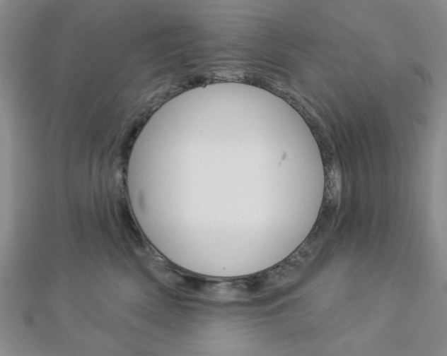 X0000112910522200908241011
