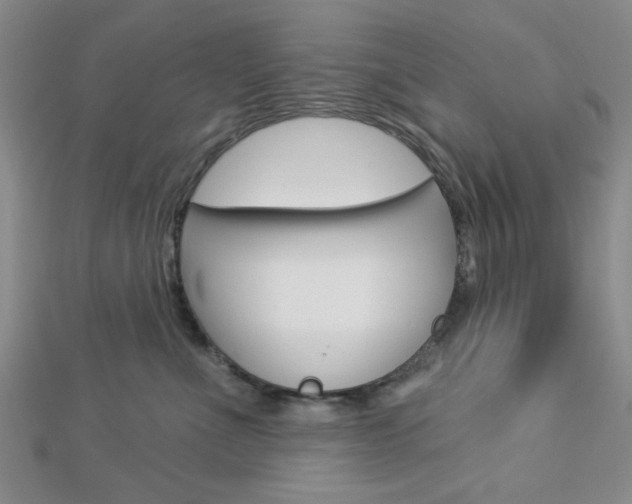 X0000112910523200908241011