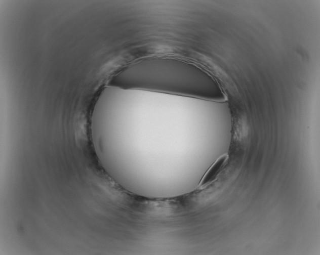 X0000112910524200908241011