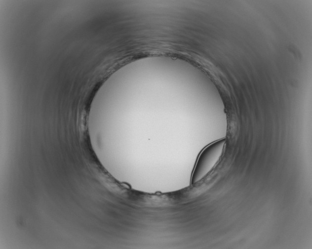 X0000112910525200908241011