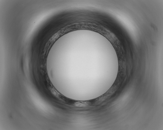 X0000112910526200908241011