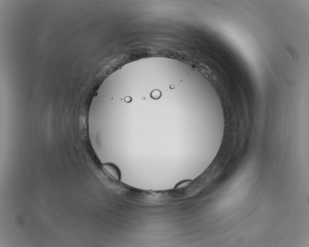 X0000112910527200908241011