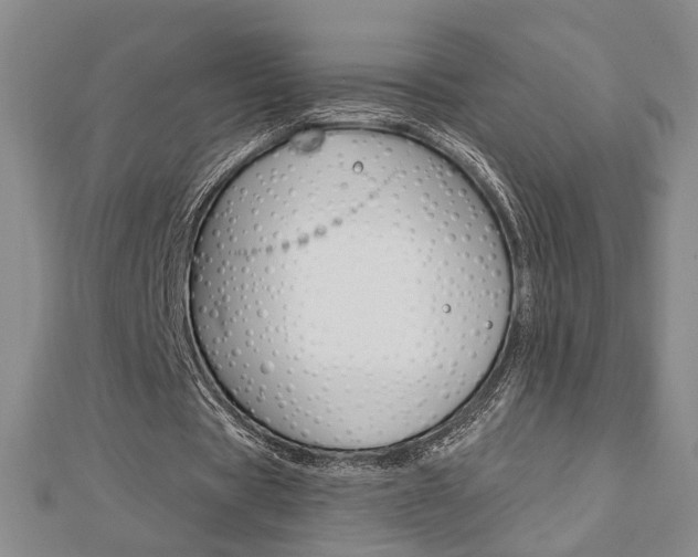 X0000112910529200908241010