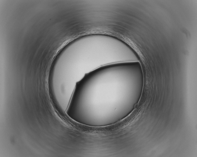 X0000112910530200908241010