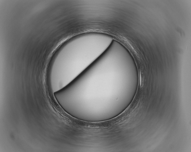 X0000112910531200908241010