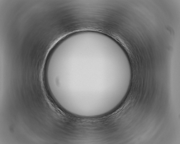 X0000112910532200908241010