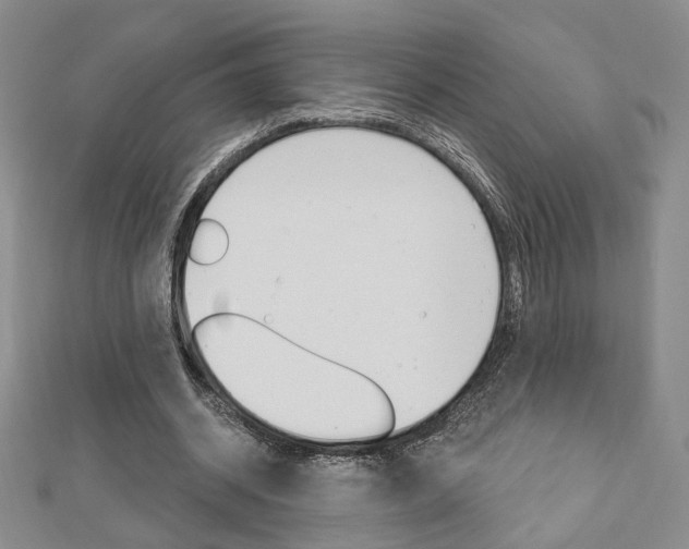 X0000112910534200908241011