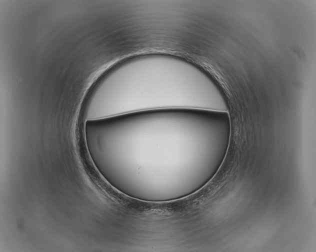 X0000112910536200908241011