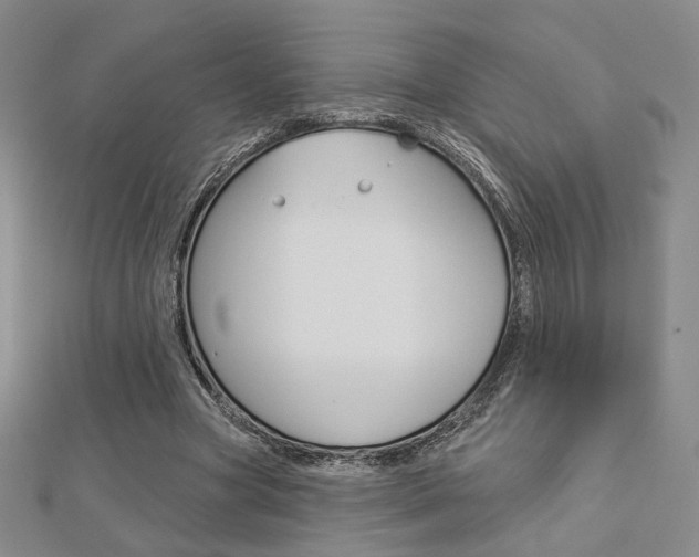 X0000112910537200908241011
