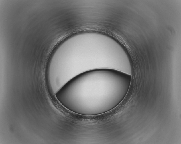 X0000112910538200908241011