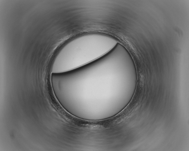 X0000112910539200908241011