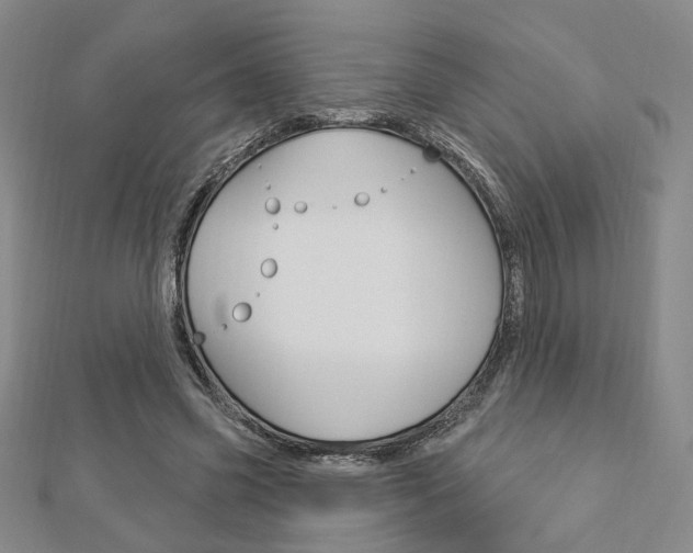 X0000112910541200908241011