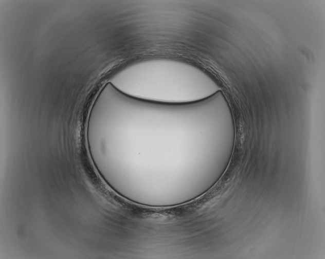 X0000112910542200908241011