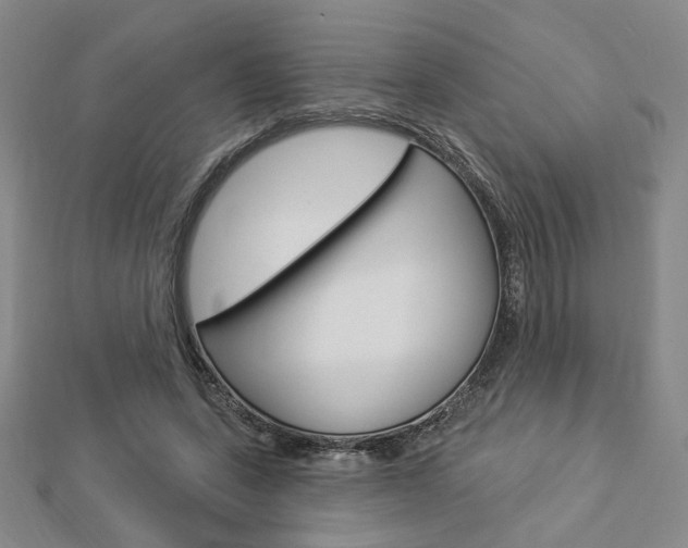 X0000112910543200908241011