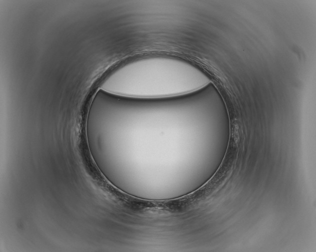 X0000112910544200908241011