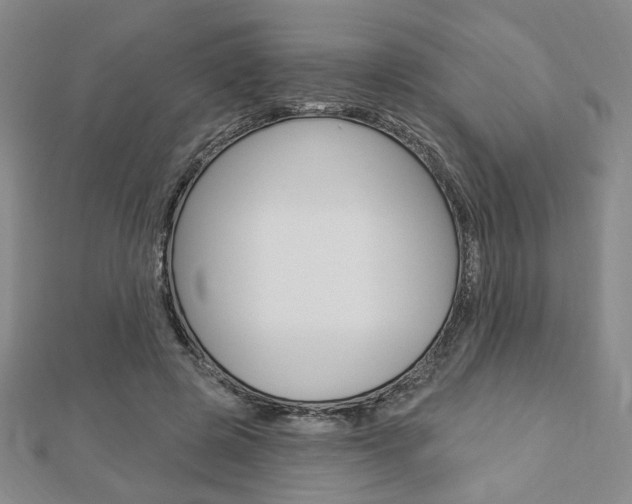 X0000112910545200908241011