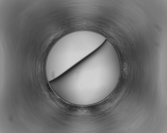 X0000112910547200908241011