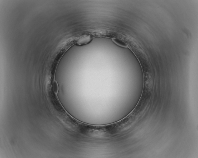 X0000112910548200908241011