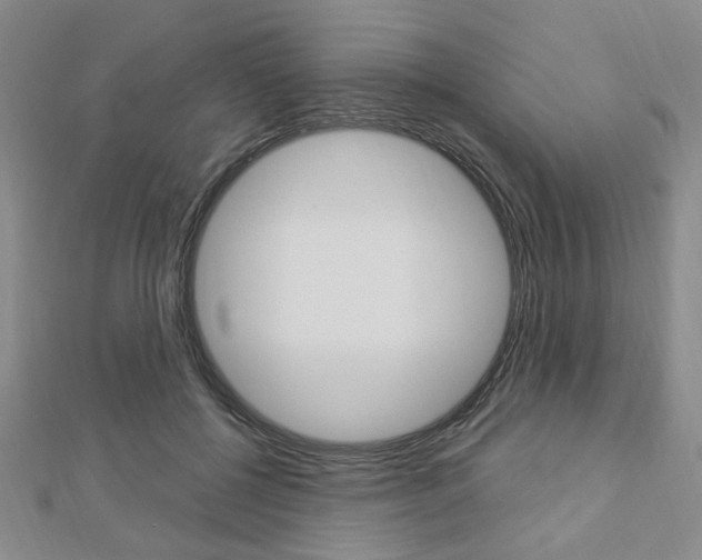 X0000112910552200908241011