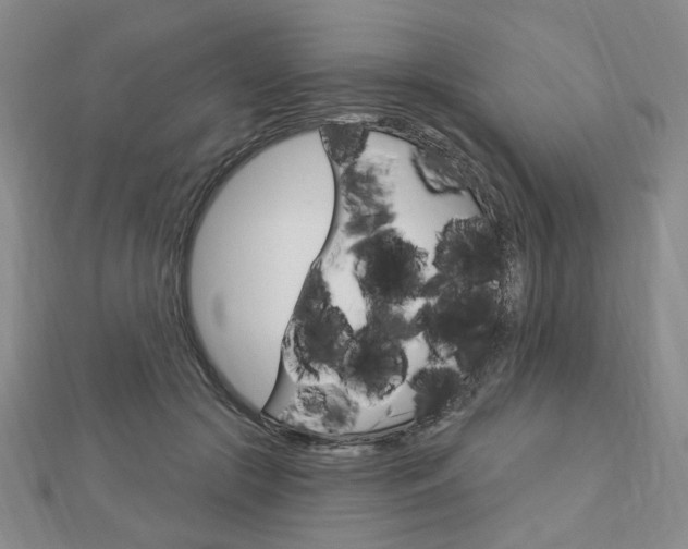 X0000112910553200908241011