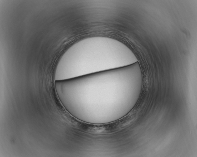 X0000112910554200908241011
