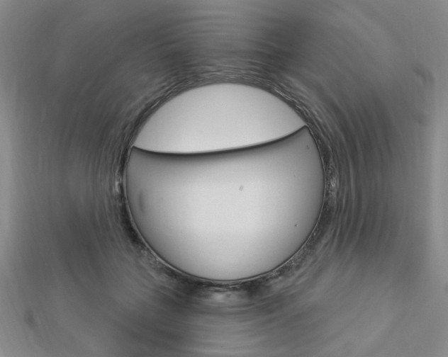 X0000112910555200908241011