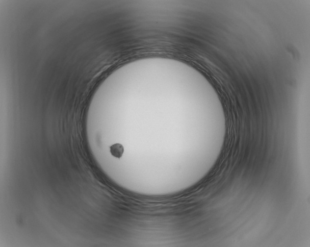 X0000112910556200908241011