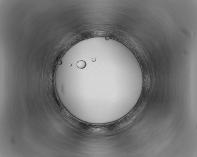 X0000112910557200908241011