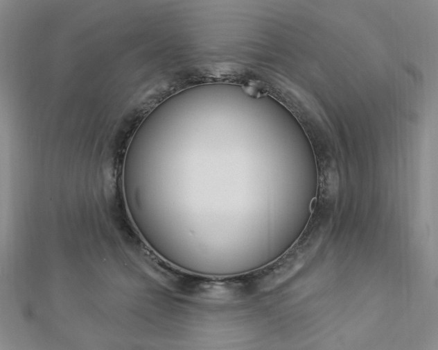 X0000112910558200908241011