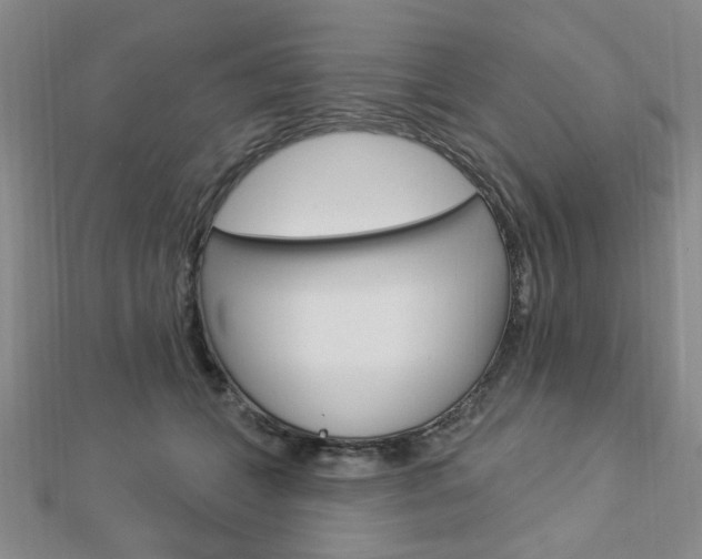 X0000112910559200908241011