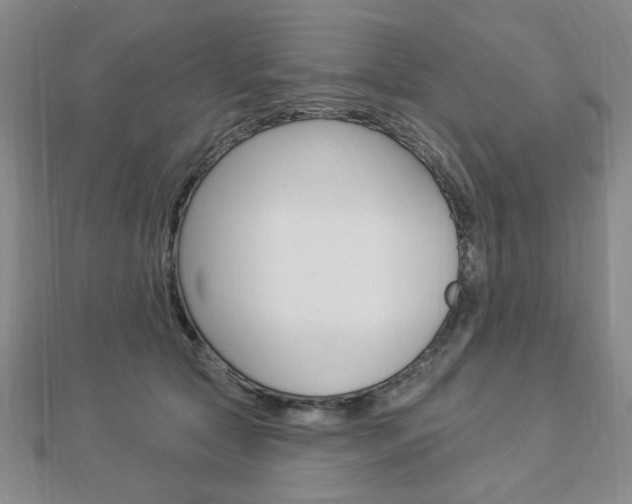 X0000112910561200908241011
