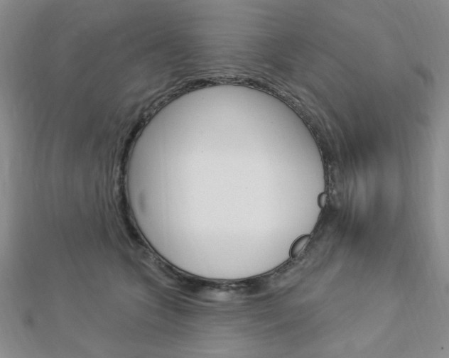 X0000112910563200908241011