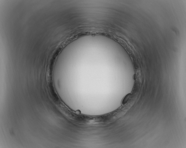 X0000112910564200908241011