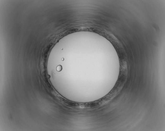 X0000112910565200908241011