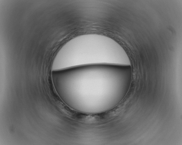 X0000112910566200908241011