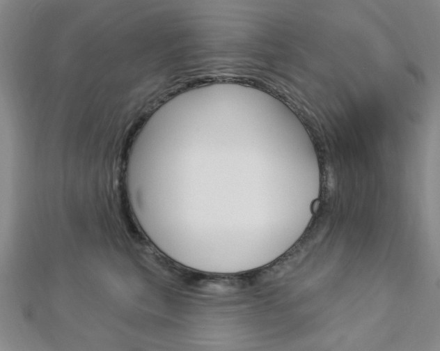 X0000112910567200908241011