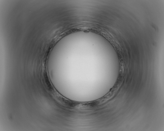 X0000112910568200908241011